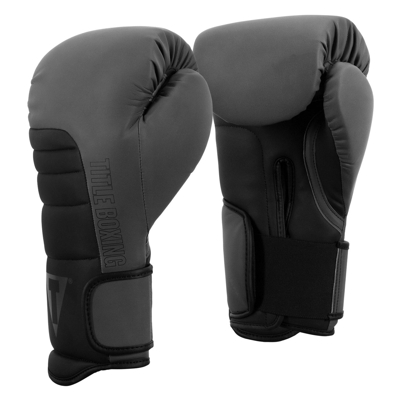 TITLE Boxing Combat Bag Boxing Gloves 2.0