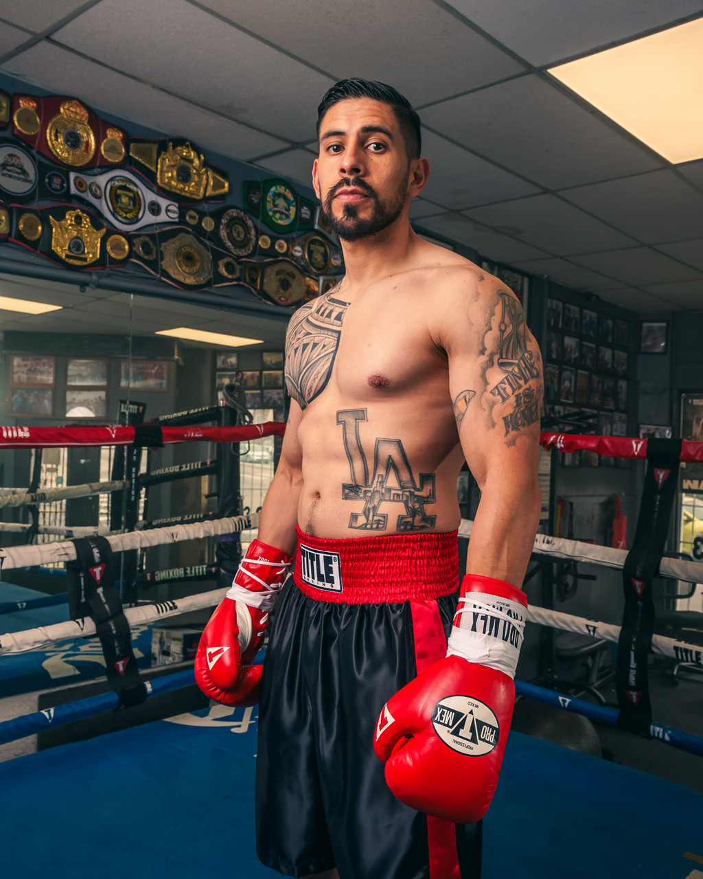 Pro Mex Combatiente Pro Fight Boxing Gloves
