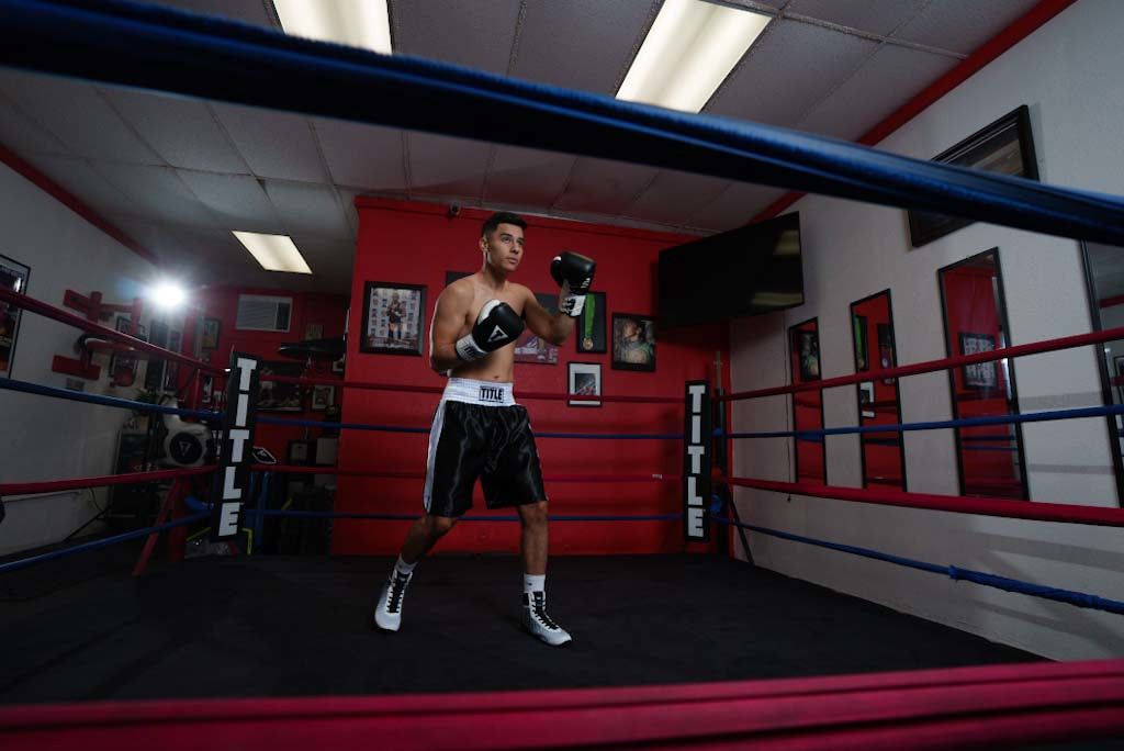 TITLE Boxing Great Official Pro Fight Boxing Gloves