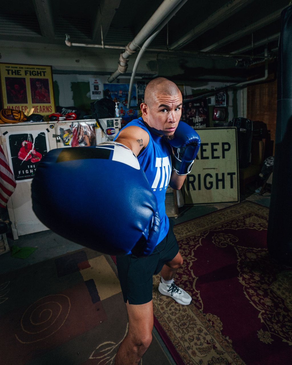 Fighting Big Logo Bag Boxing Gloves