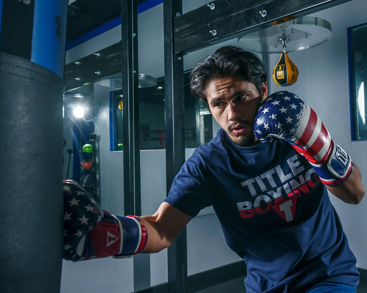 TITLE Boxing Liberty Bag Boxing Gloves
