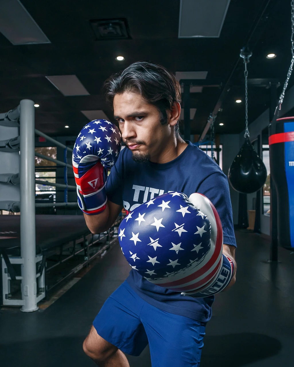 TITLE Boxing Liberty Bag Boxing Gloves