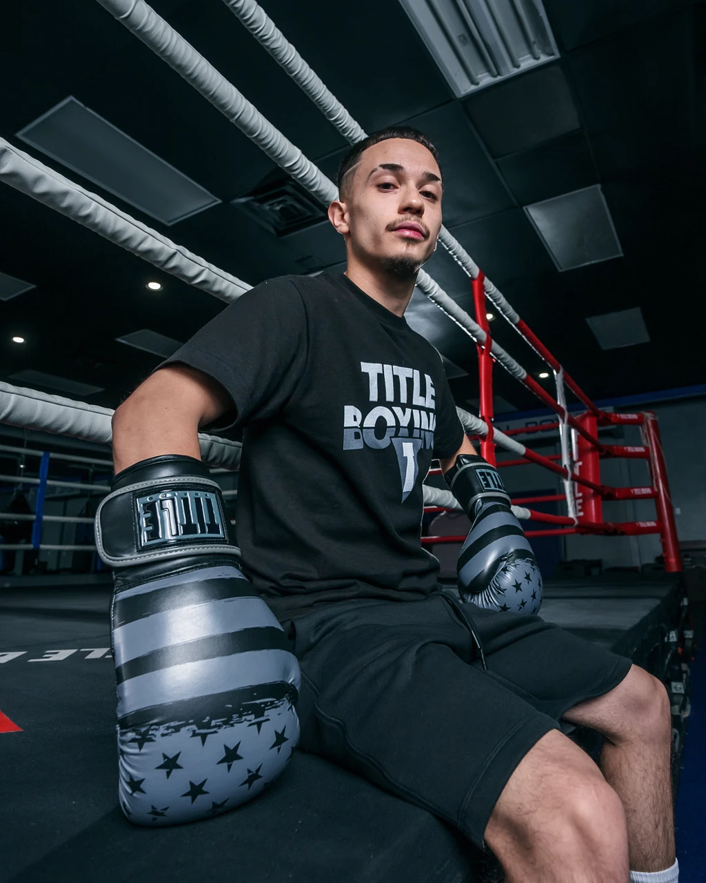 TITLE Boxing Liberty Bag Boxing Gloves