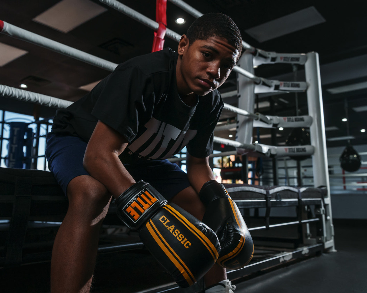 TITLE Classic Speed Boxing Gloves