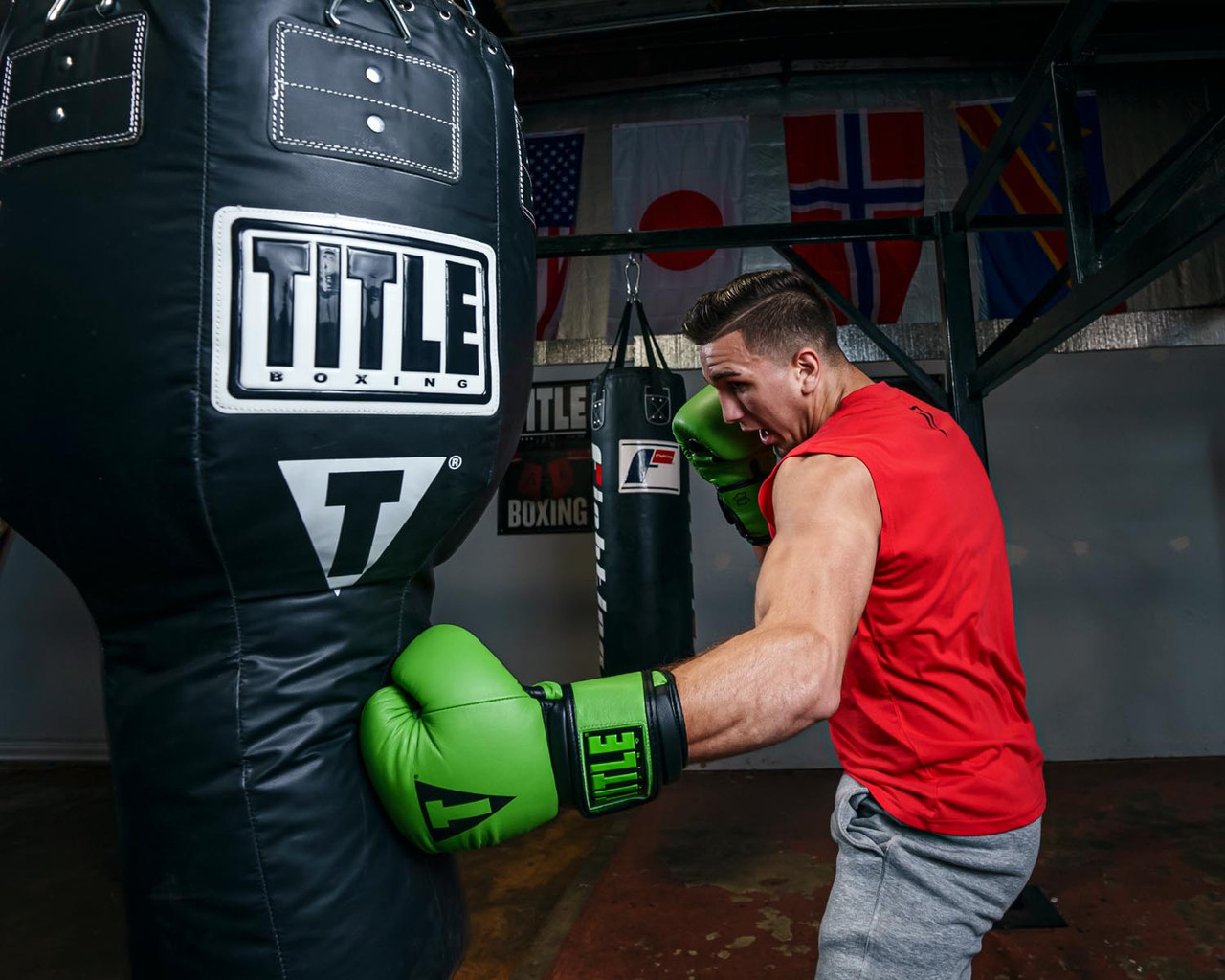 TITLE Boxing Dauntless Training Boxing Gloves