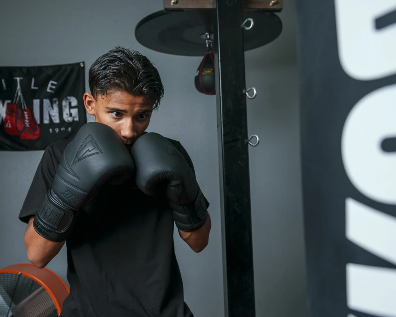 TITLE Black Bolstered Leather Bag Boxing Gloves