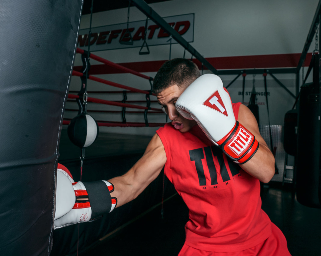 TITLE Boxing All Heart Bag Boxing Gloves 2.0