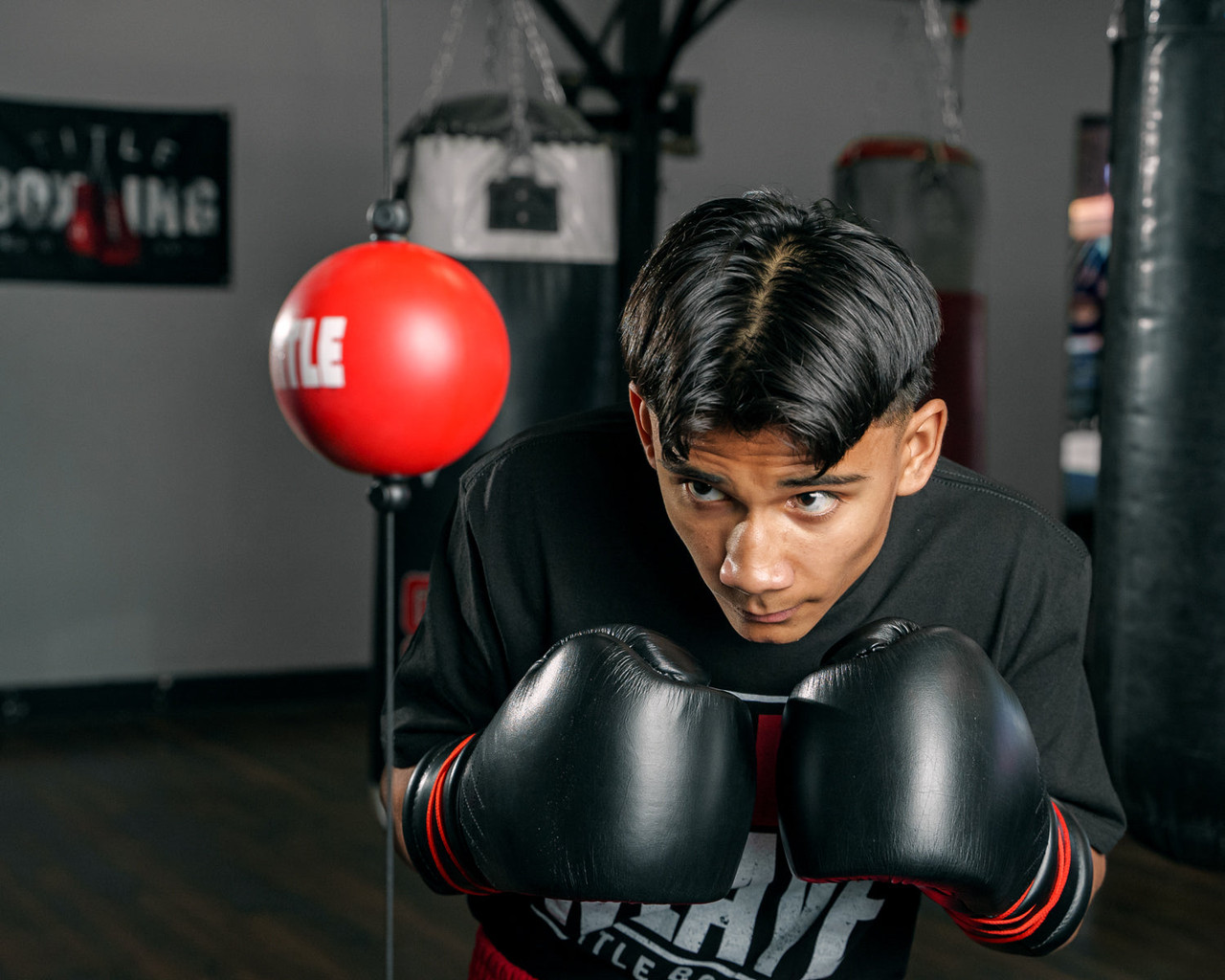 TITLE Boxing Quick Puncher 2.0