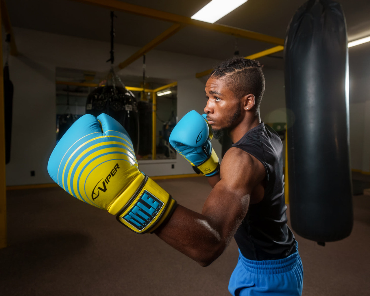 Viper by TITLE Boxing Select Training Boxing Gloves 2.0
