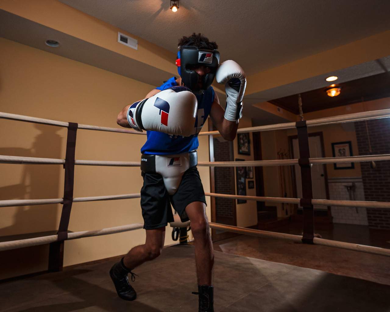 Fighting Force Training Boxing Gloves