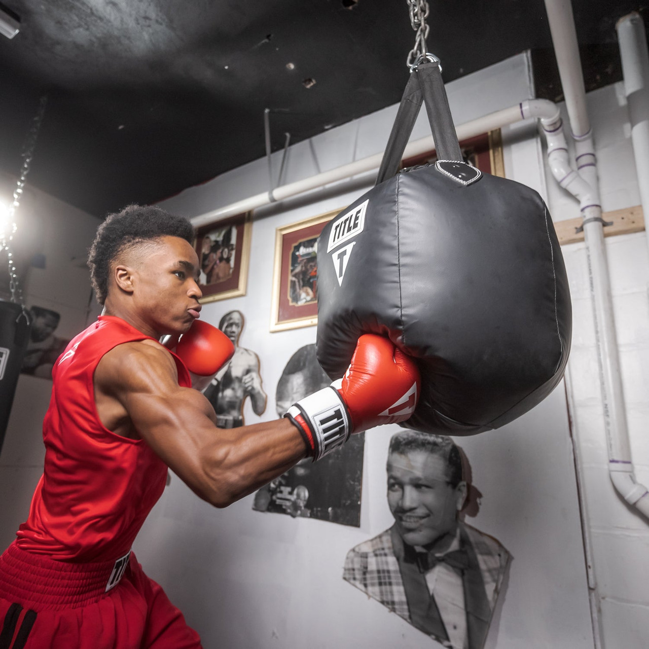 TITLE Premier Leather Super Bag Boxing Gloves 2.0