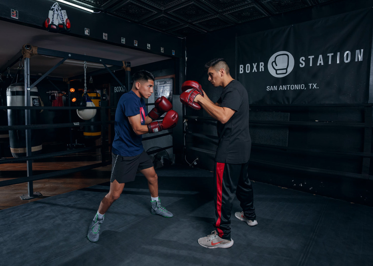 TITLE Boxing Blood Red Leather Punch Mitts
