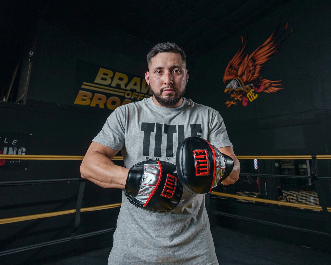 TITLE Boxing Valiant Micro Mitts