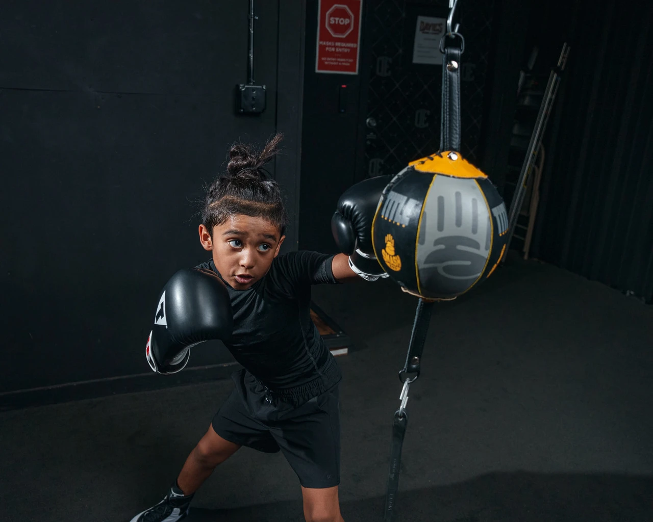 TITLE Boxing Double End Smash Bag