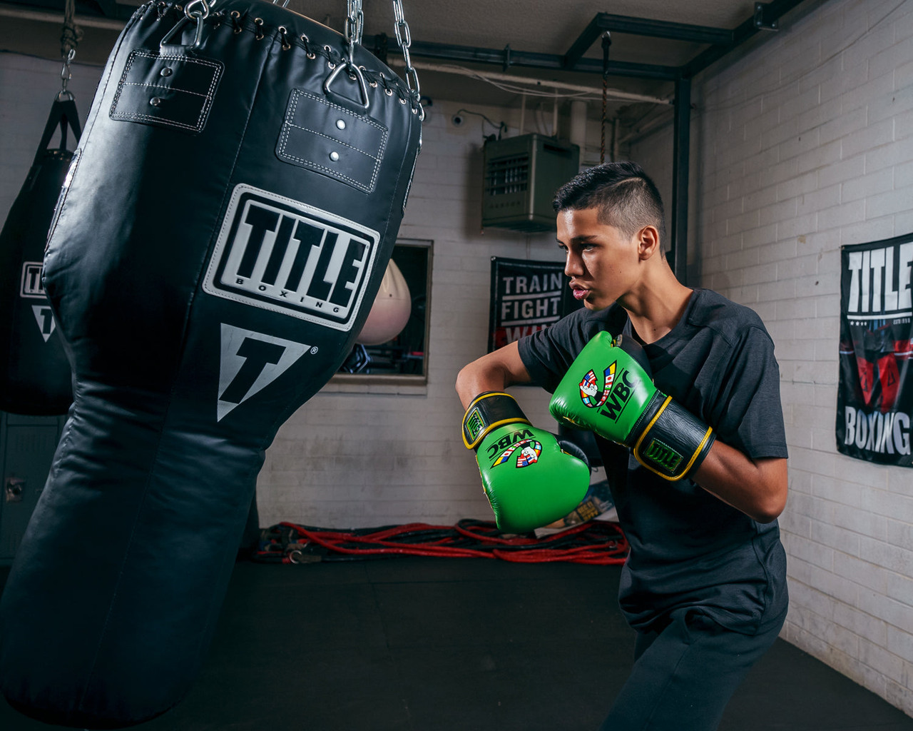WBC by TITLE Boxing Training Boxing Gloves