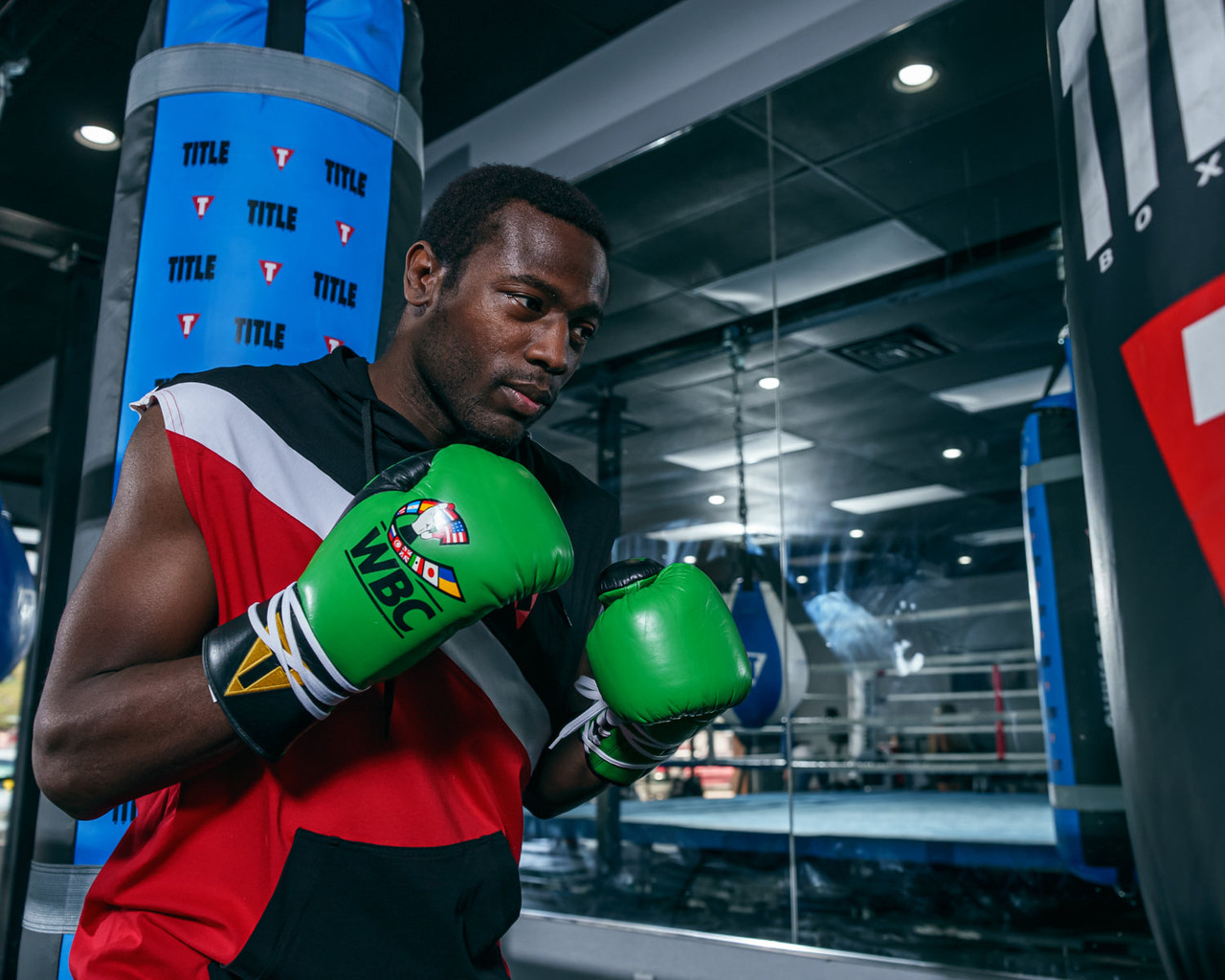 WBC by TITLE Boxing Pro Fight Leather Boxing Gloves