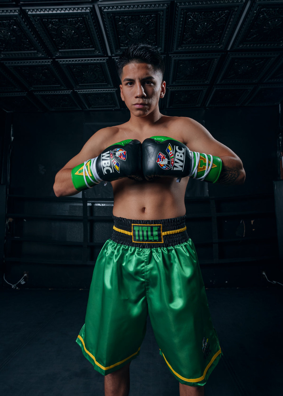 WBC by TITLE Boxing Pro Fight Leather Boxing Gloves