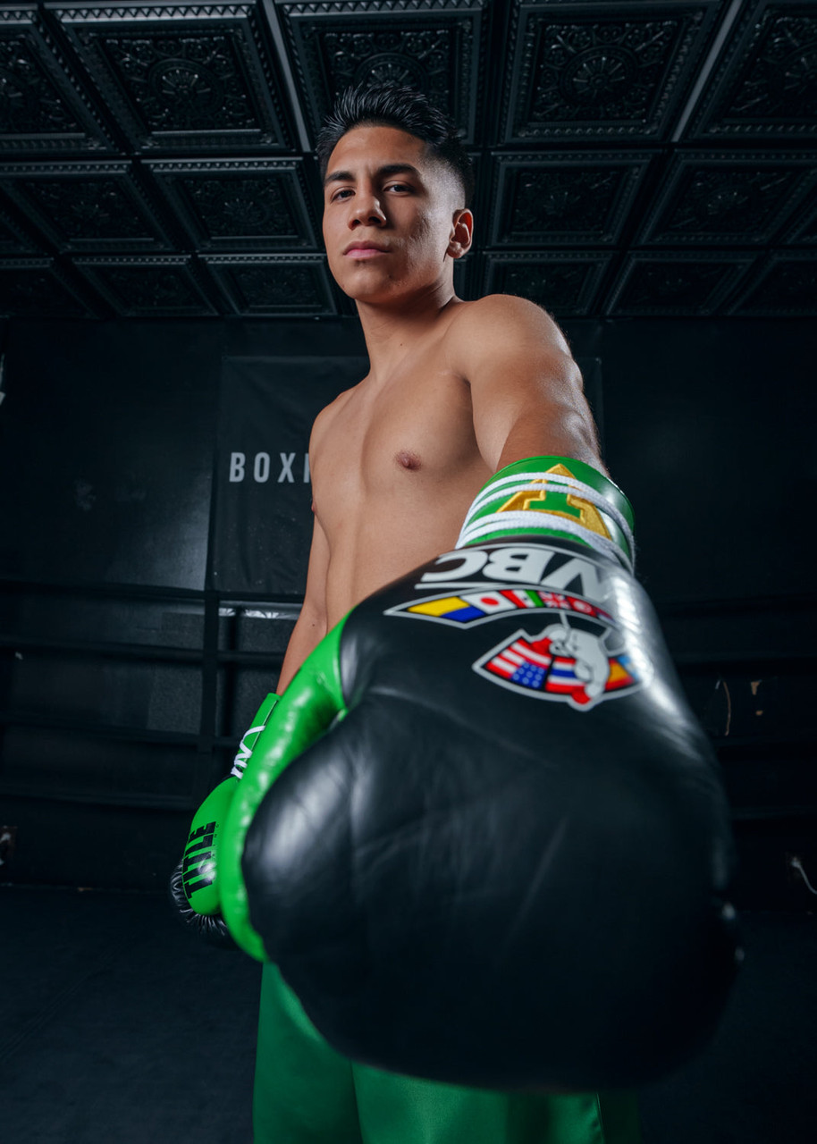 WBC by TITLE Boxing Pro Fight Leather Boxing Gloves