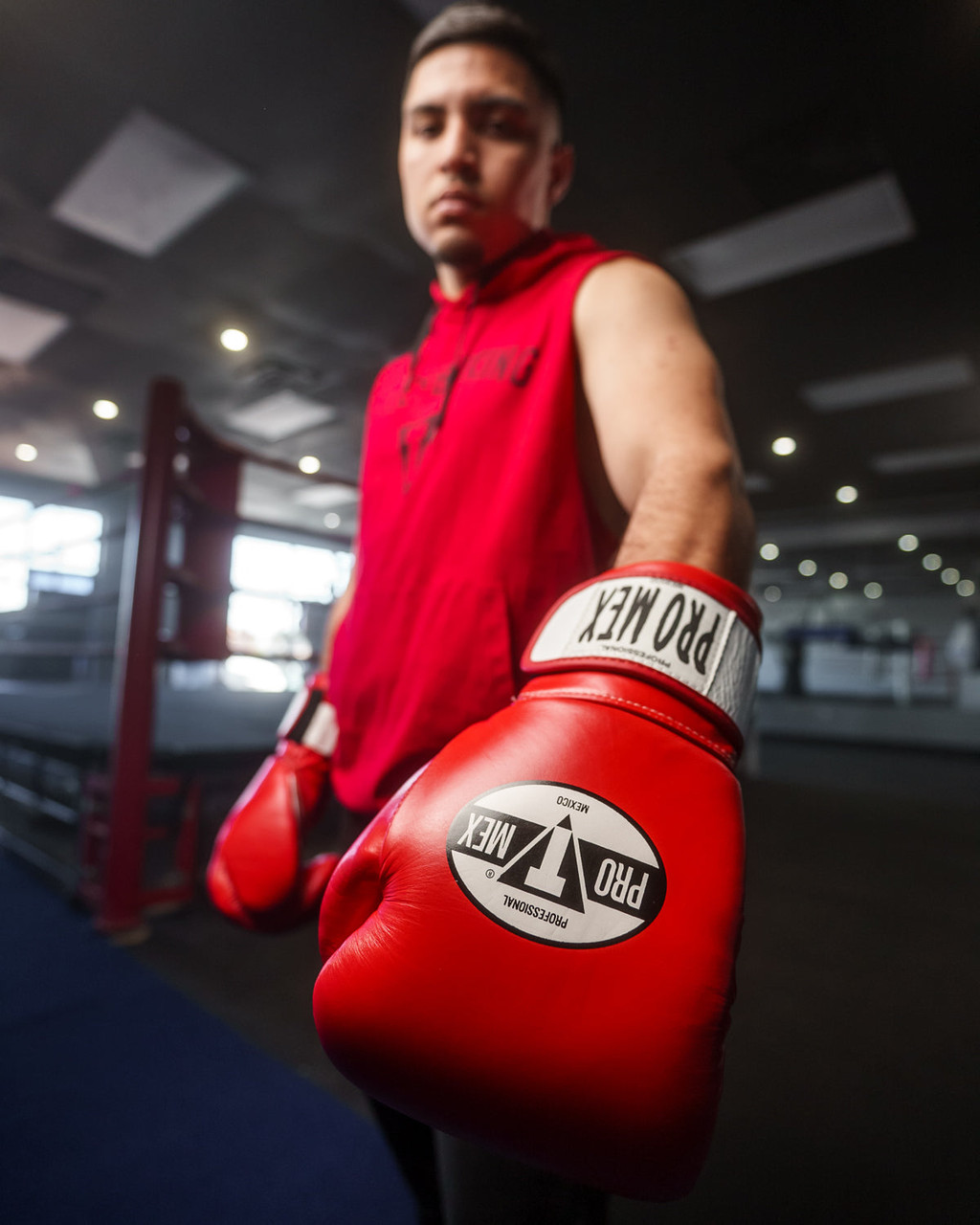Pro Mex Professional Bag Boxing Gloves V3.0