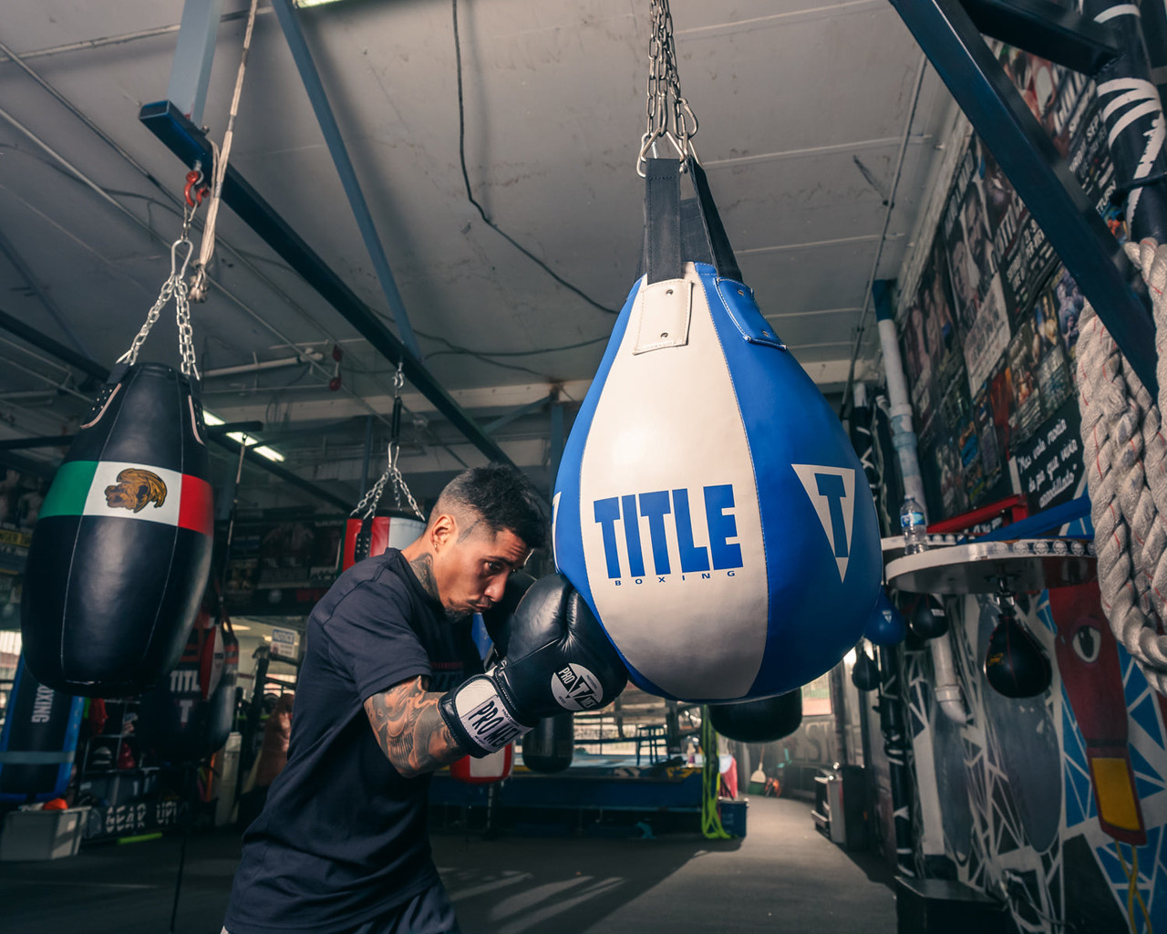 Pro Mex Professional Bag Boxing Gloves V3.0