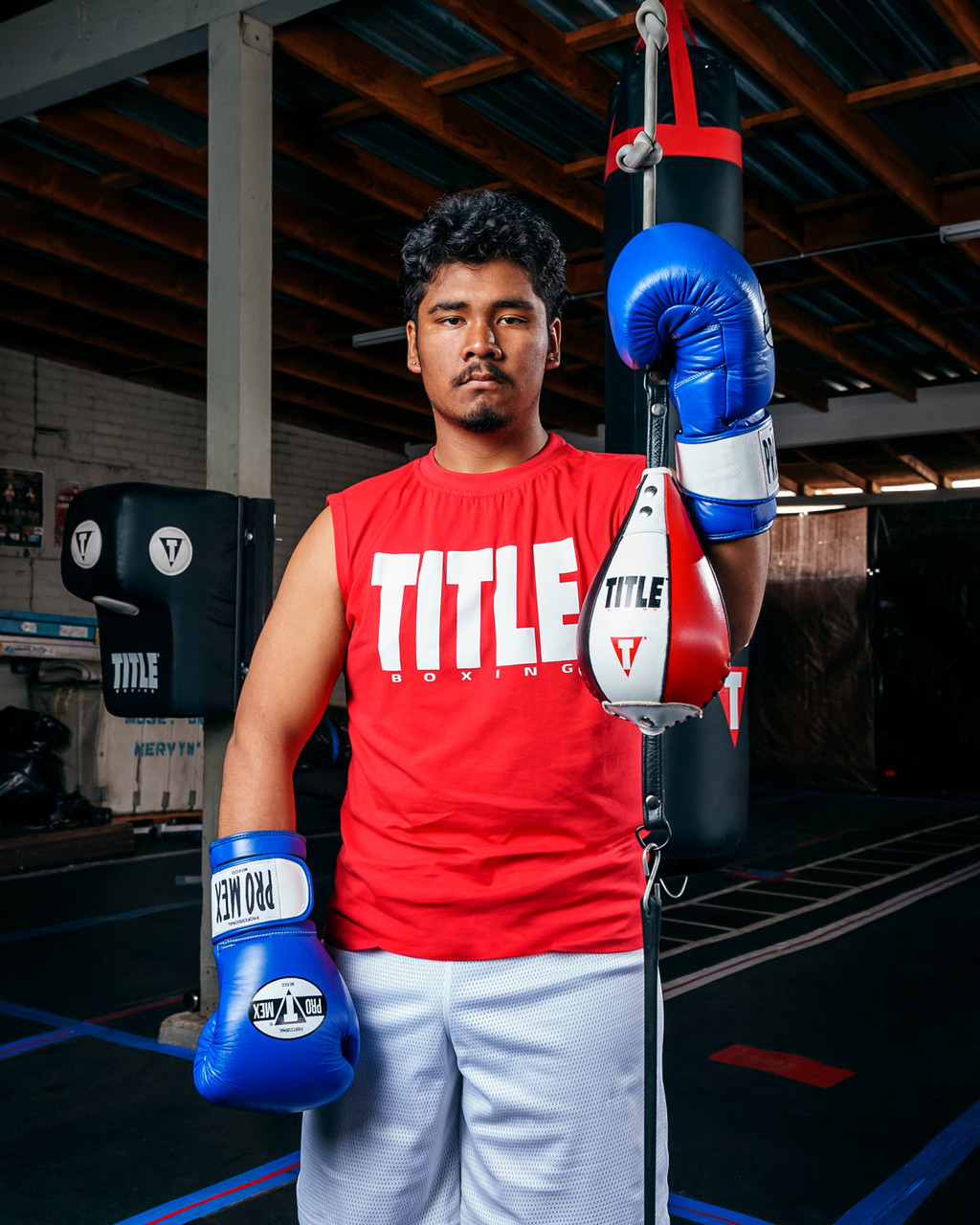 Pro Mex Professional Bag Boxing Gloves V3.0