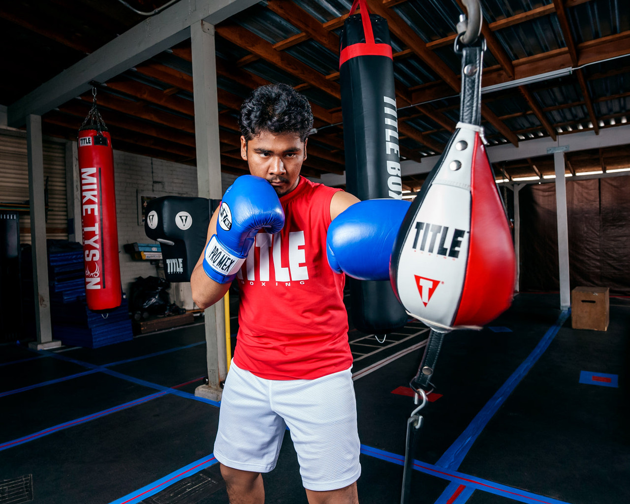 Pro Mex Professional Bag Boxing Gloves V3.0