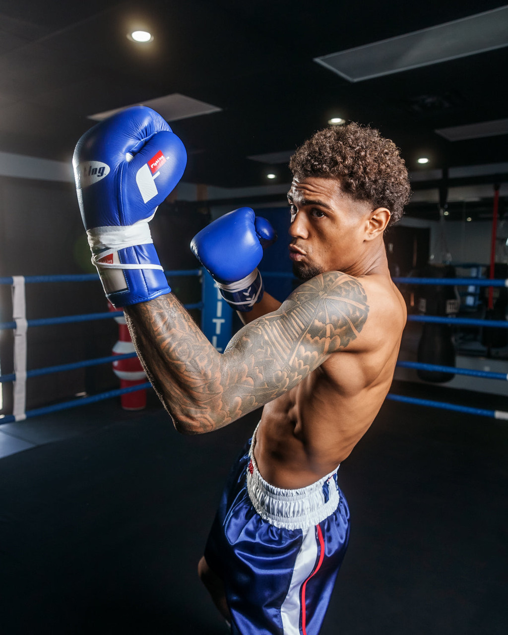 Fighting Fearless Certified Pro Fight Boxing Gloves II