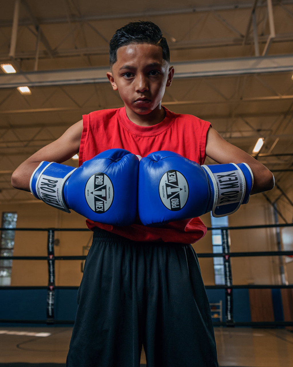 Pro Mex Professional Training Boxing Gloves 3.0