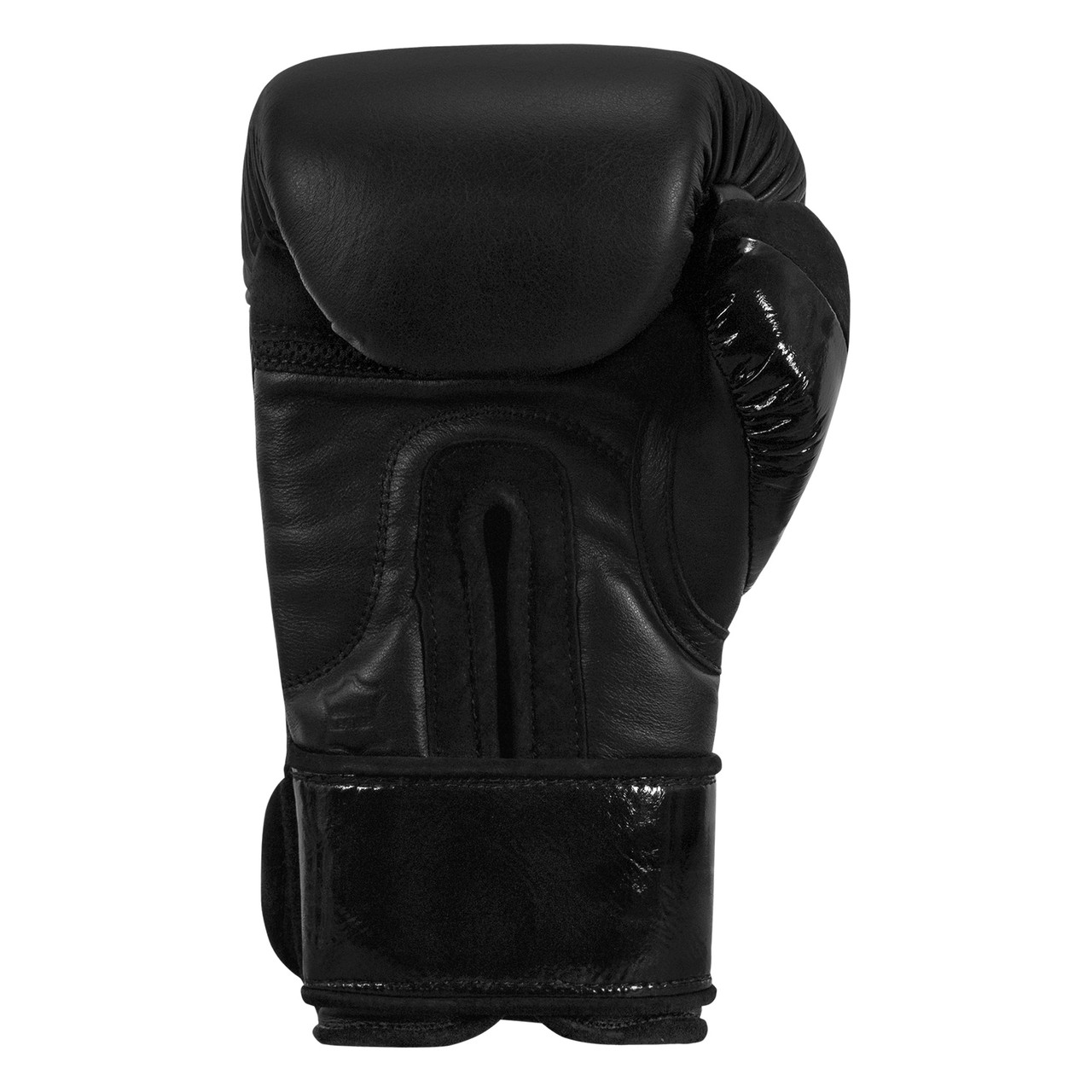 TITLE Black Training Boxing Gloves 2.0
