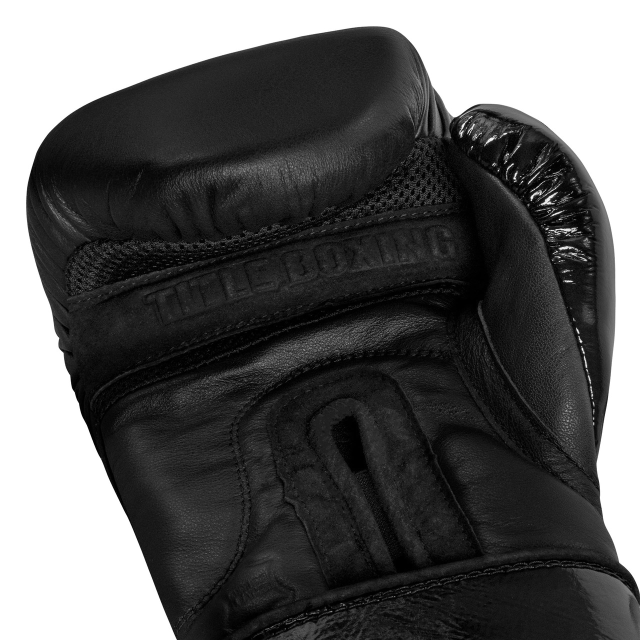 TITLE Black Training Boxing Gloves 2.0