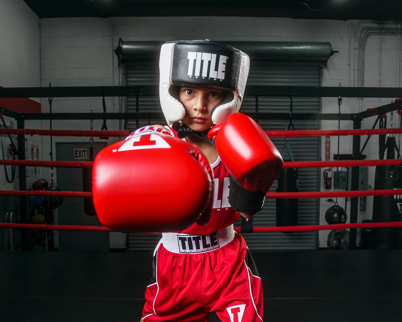 TITLE Boxing Aerovent Elite USA Boxing Competition Headgear – With Cheeks