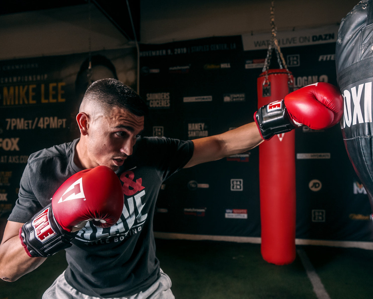 TITLE Classic Power Weight Bag Boxing Gloves