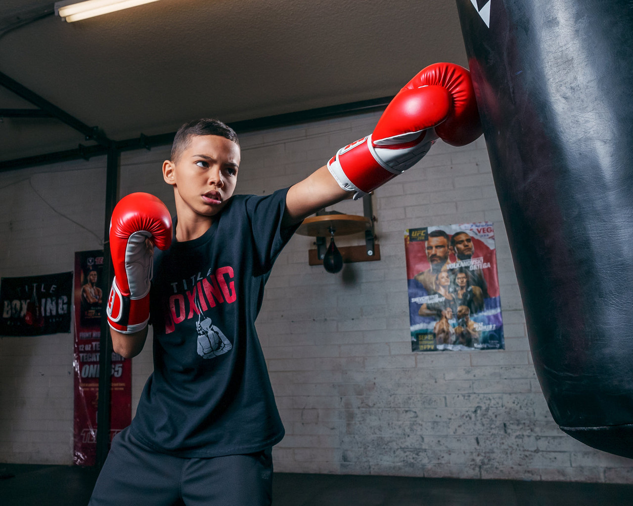 TITLE Classic Pro Style Training Boxing Gloves 3.0