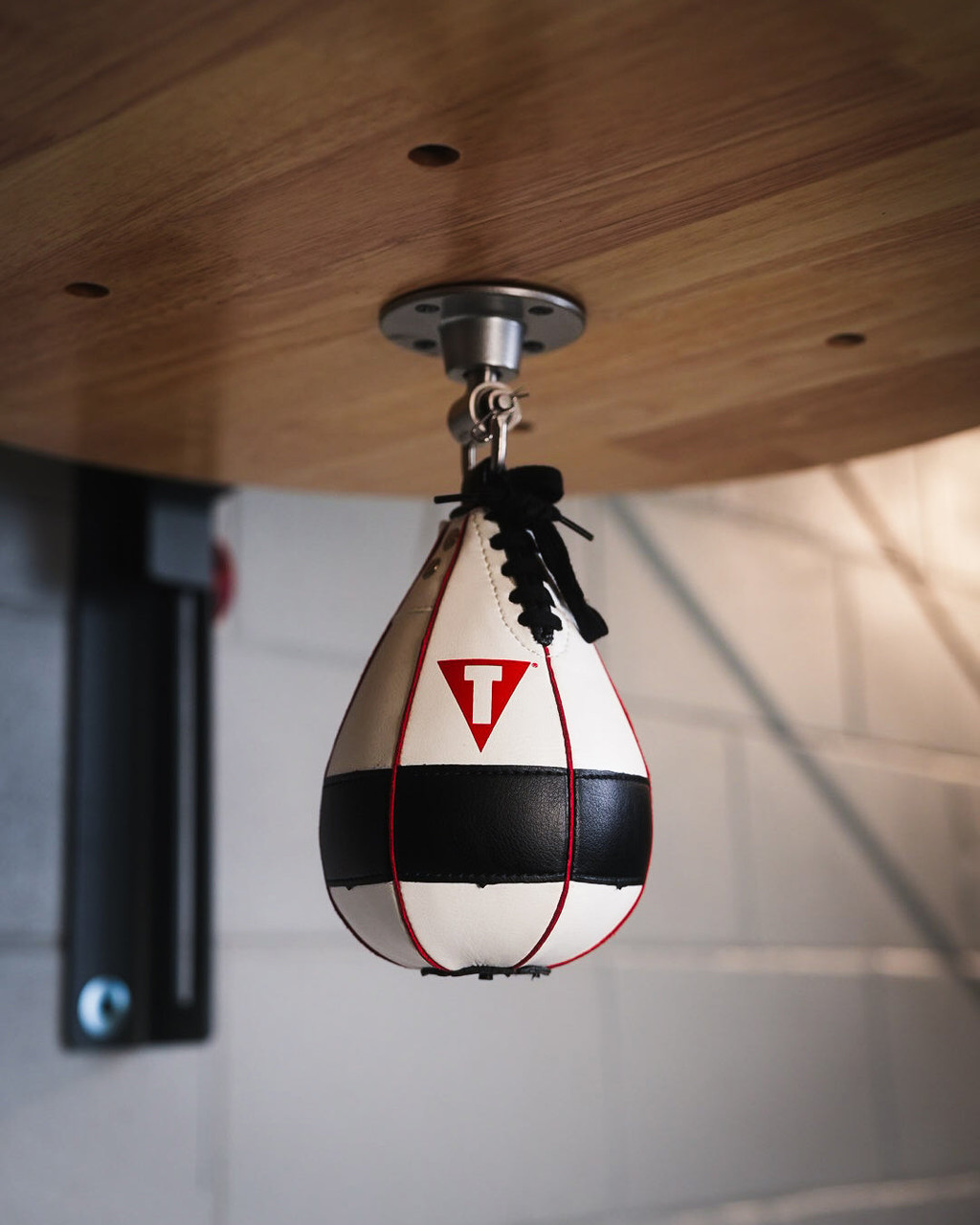 TITLE Boxing Lightning Fast Speed Bag