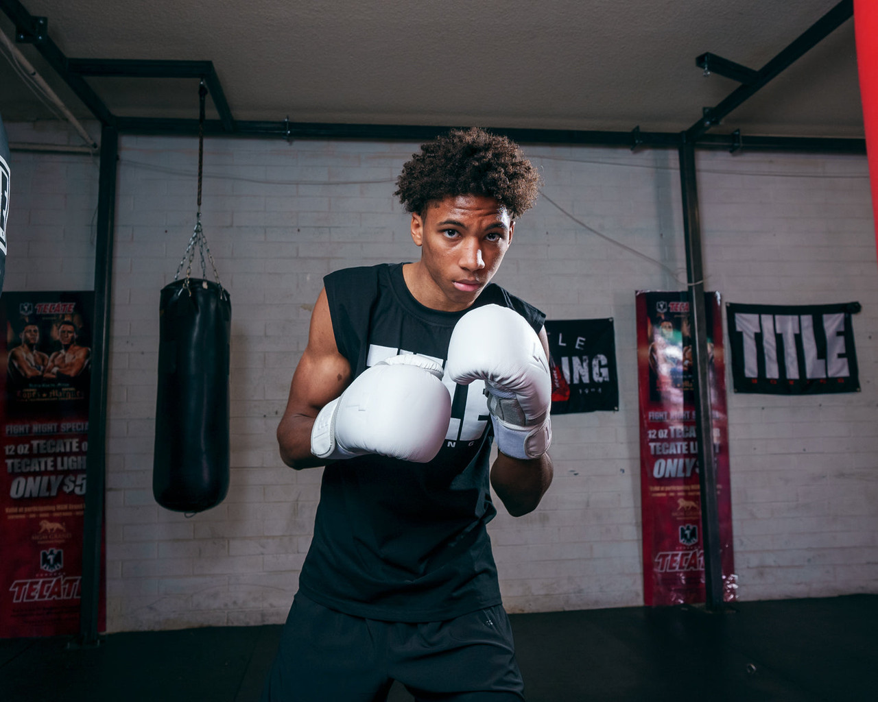 TITLE White Boxing Gloves