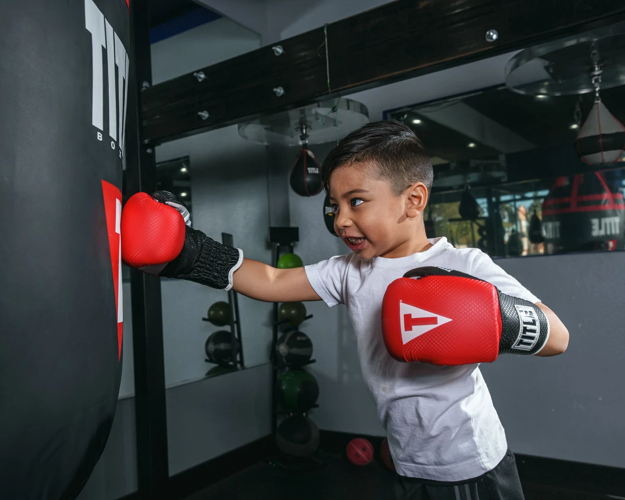 TITLE Boxing Aerovent Youth Boxing Gloves
