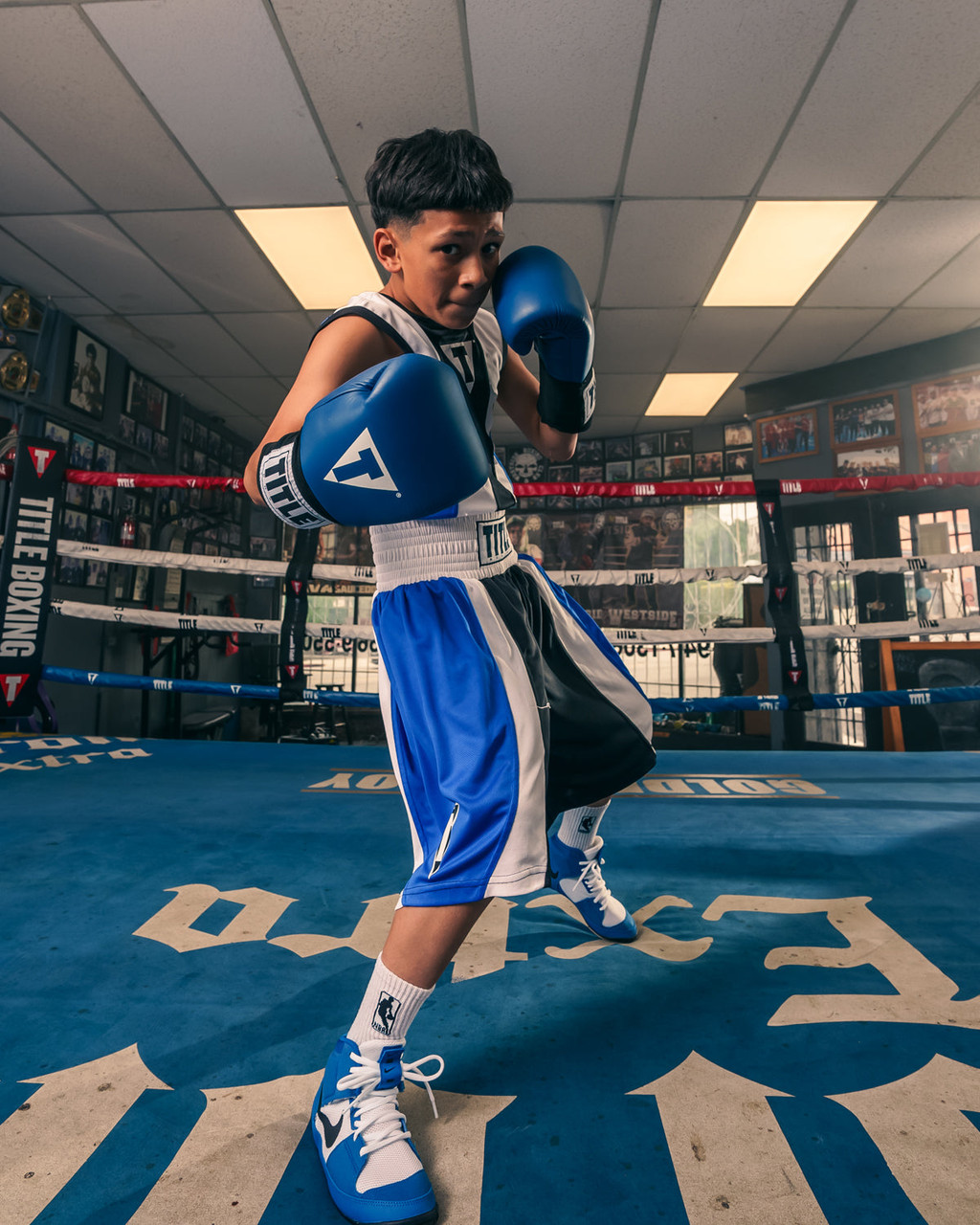 TITLE Boxing USA Boxing Competition Boxing Gloves - Elastic