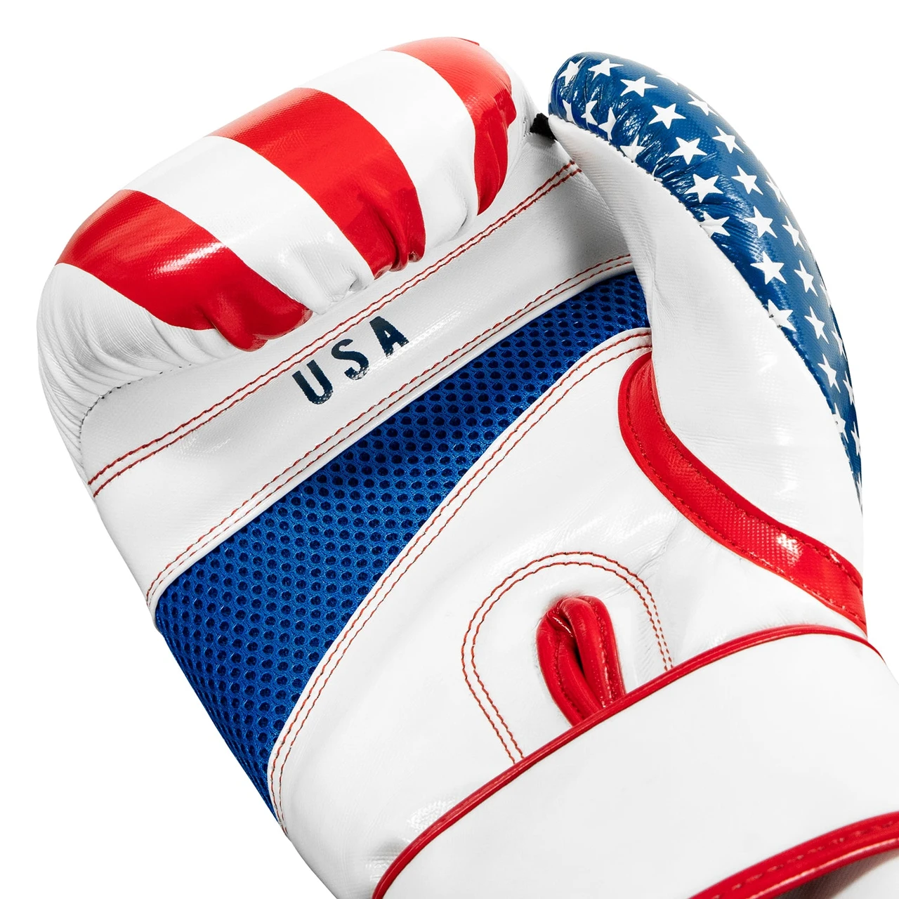TITLE Boxing Infused Foam Combat USA Training Boxing Gloves