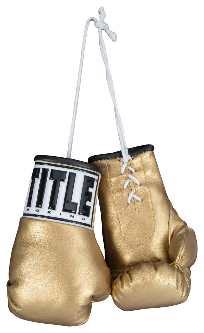 TITLE Boxing 3.5” Mini Boxing Gloves