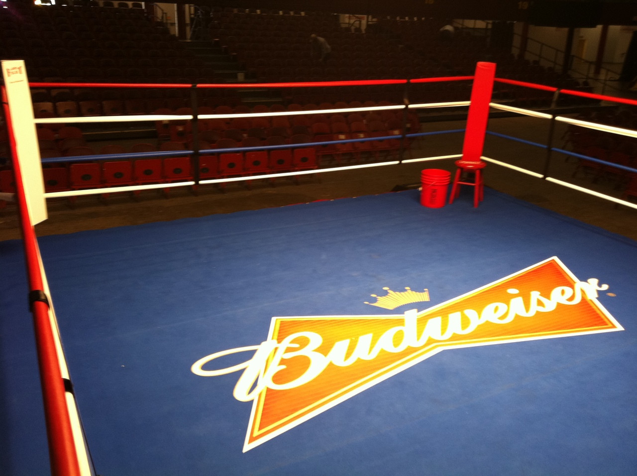 Pro Fight Night Boxing Ring MADE IN USA