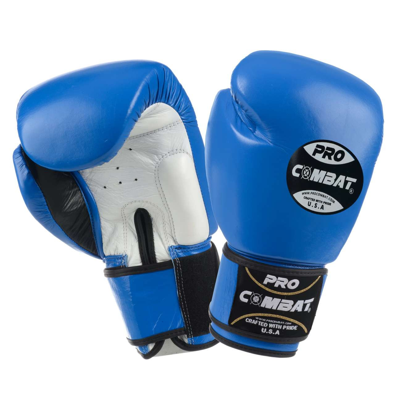 2Fit® Art Leather Boxing Gloves Fight Punching Bag MMA Muay Thai Kickboxing-Blue 