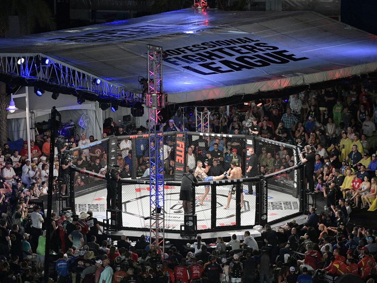 PRO MMA Decagon Official MMA Cage