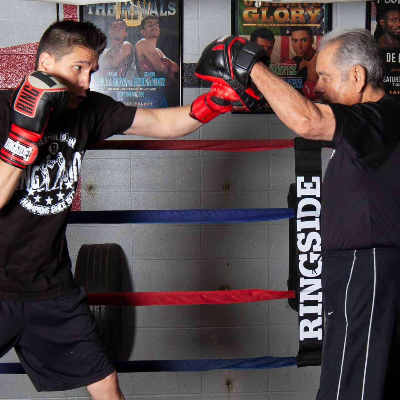 Ringside Pro Panther Punch Mitts