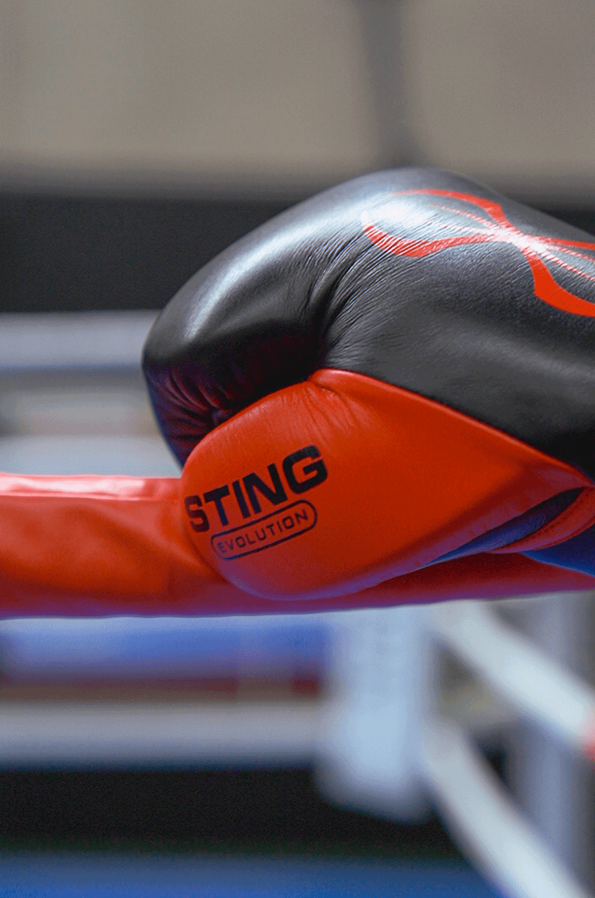 Sting Evolution Fight Gloves - Black/Red