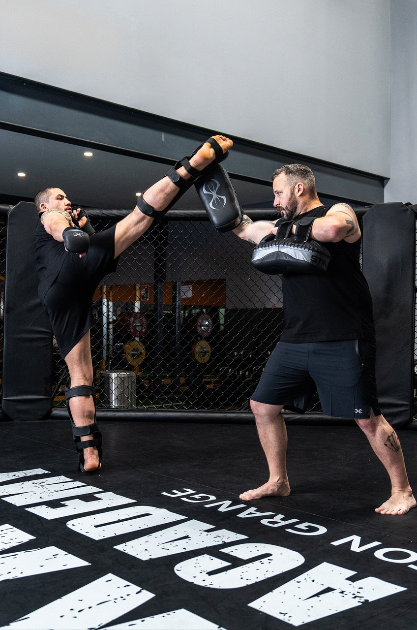 Sting Taipan Thai Kick Pads - Black/Grey