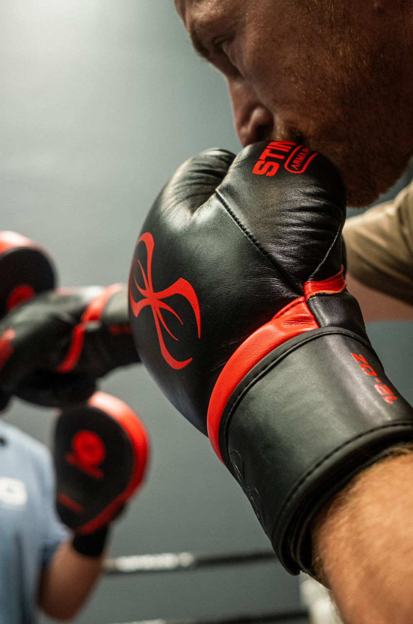 Sting Armapro Boxing Gloves - Black/Red
