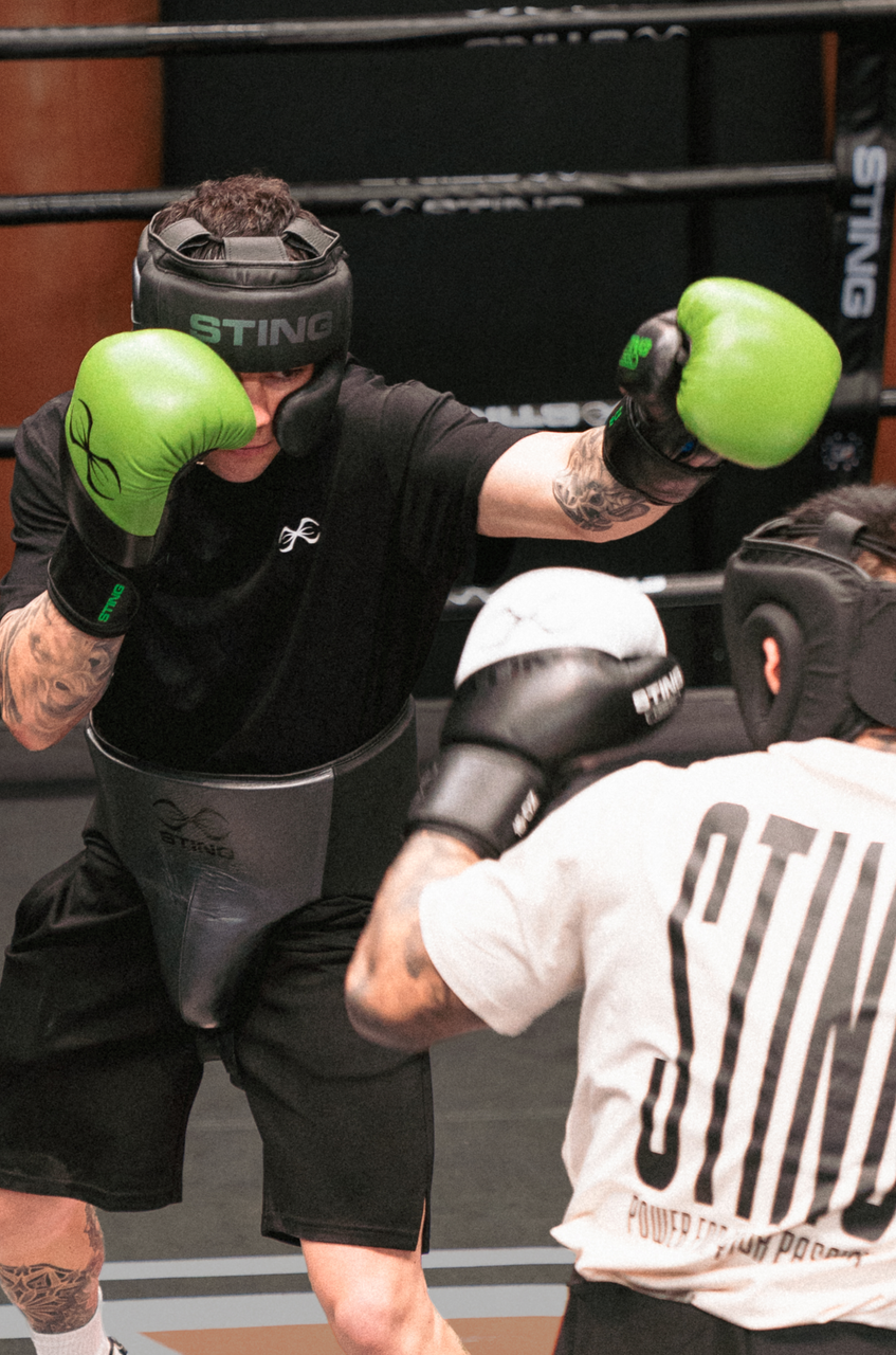 Sting Orion Boxing Gloves - Black/Green