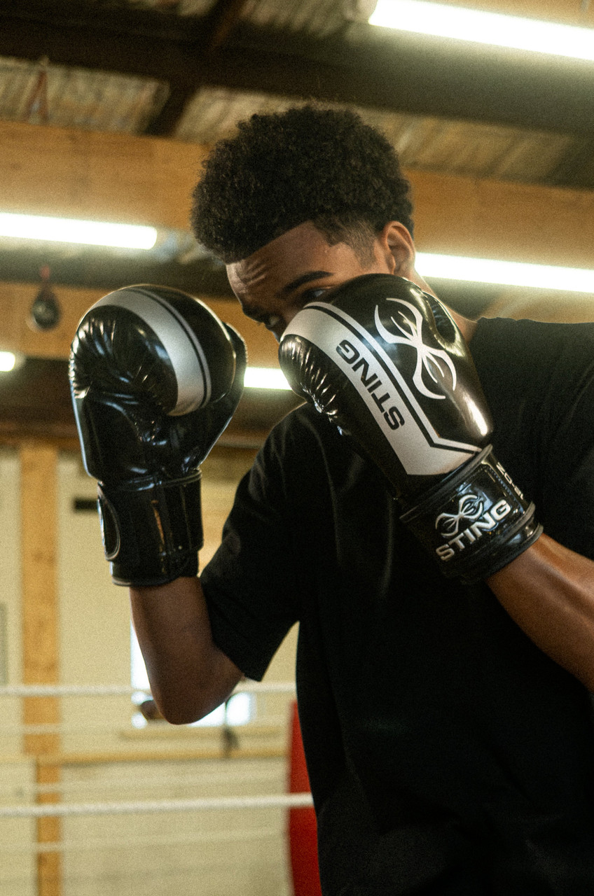 Sting Armalite Boxing Gloves - Black/Silver