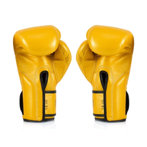 Fairtex BGV18 Gold Muay Thai Boxing Glove