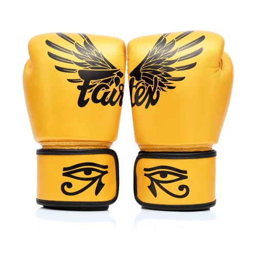 Fairtex Falcon BGV1 Muay Thai Boxing Glove